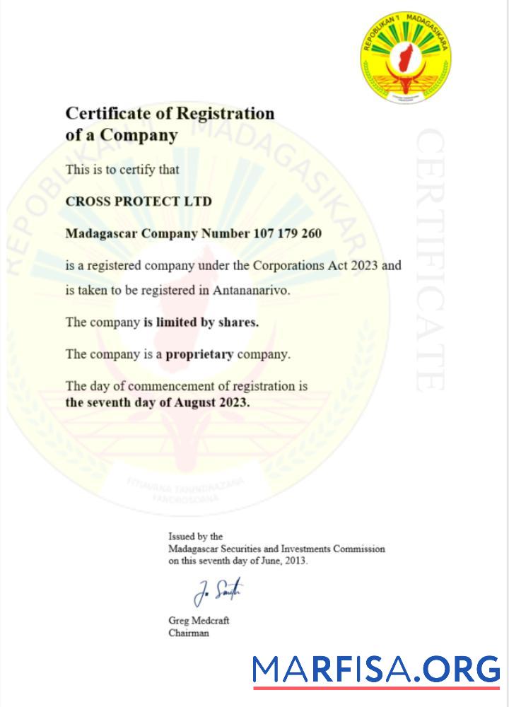 Blank Madagascar business registration certificate Word and PDF template